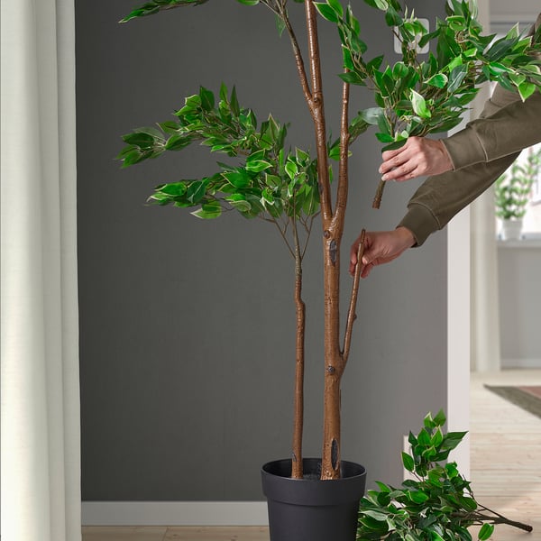 FEJKA artificial potted plant, in/outdoor Weeping fig, 21 cm