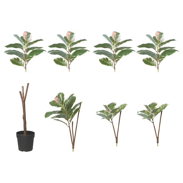 FEJKA - Artificial potted plant, in/outdoor Rubber plant, 23 cm