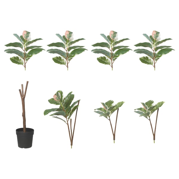 FEJKA - FEJKA Artificial potted plant, in/outdoor Rubber plant, 23 cm