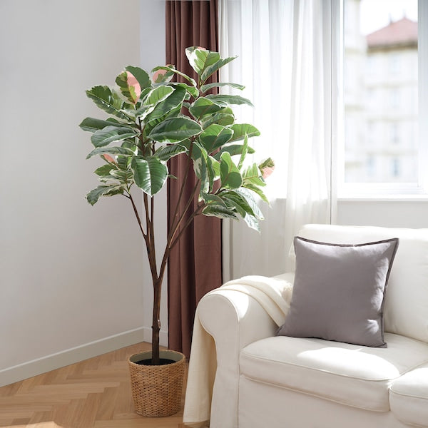 FEJKA - Artificial potted plant, in/outdoor Rubber plant, 23 cm