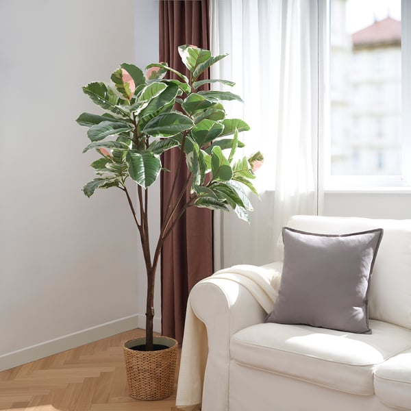 FEJKA - FEJKA Artificial potted plant, in/outdoor Rubber plant, 23 cm