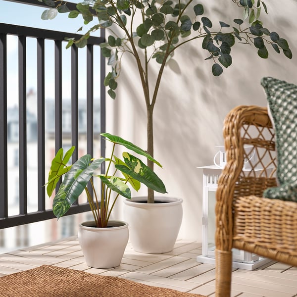 FEJKA artificial potted plant, in/outdoor Philodendron/green/white, 15 cm