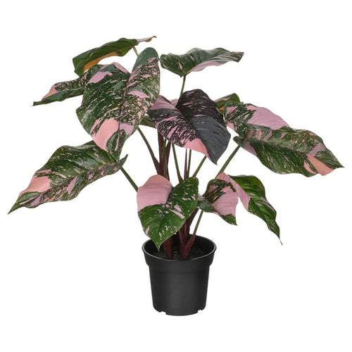 FEJKA artificial potted plant, in/outdoor Philodendron/green/pink, 15 cm