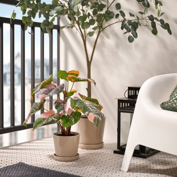 FEJKA artificial potted plant, in/outdoor Philodendron/green/pink, 15 cm