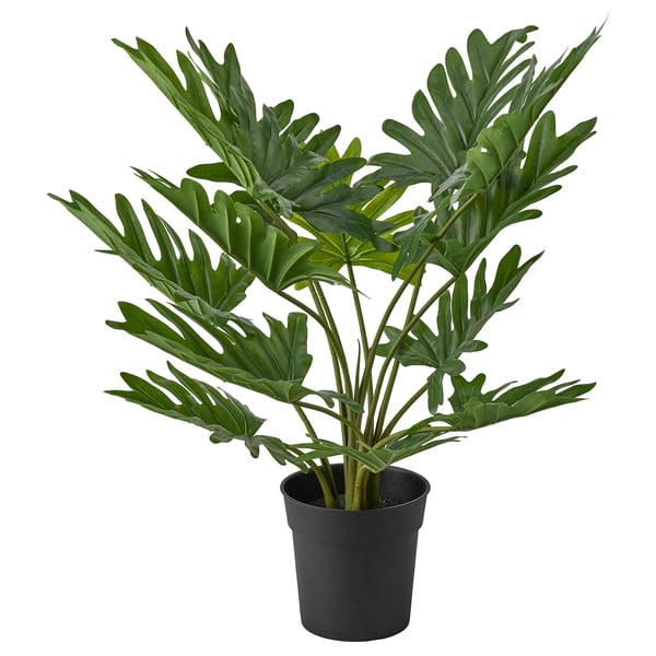 FEJKA - Artificial pot plant, indoor/outdoor Philodendron,19 cm