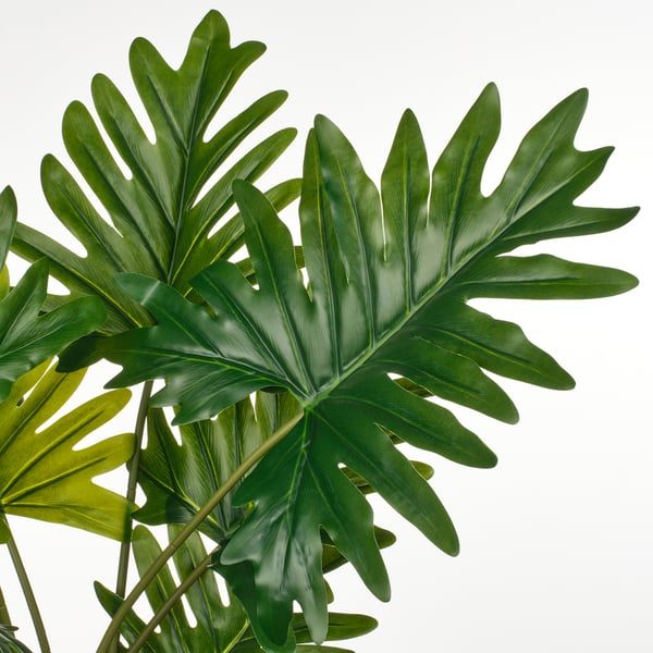 FEJKA artificial potted plant, in/outdoor Winterbourn, 19 cm