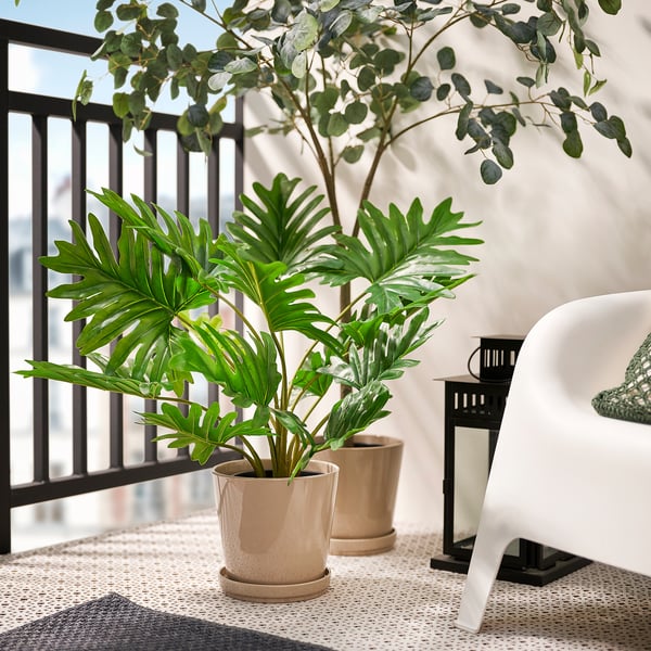 FEJKA artificial potted plant, in/outdoor Winterbourn, 19 cm