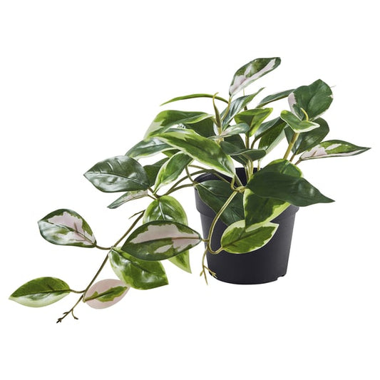 FEJKA - Artificial plant in pot, for indoor/outdoor/suspended wax flower, 9 cm.