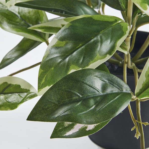 FEJKA - FEJKA Artificial potted plant, in/outdoor/Wax plant hanging, 9 cm