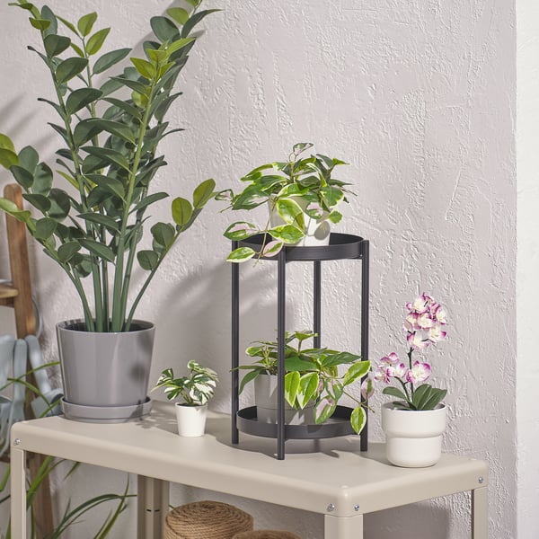 FEJKA - FEJKA Artificial potted plant, in/outdoor/Wax plant hanging, 9 cm