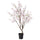 FEJKA artificial potted plant, in/outdoor cherry-blossoms, 19 cm