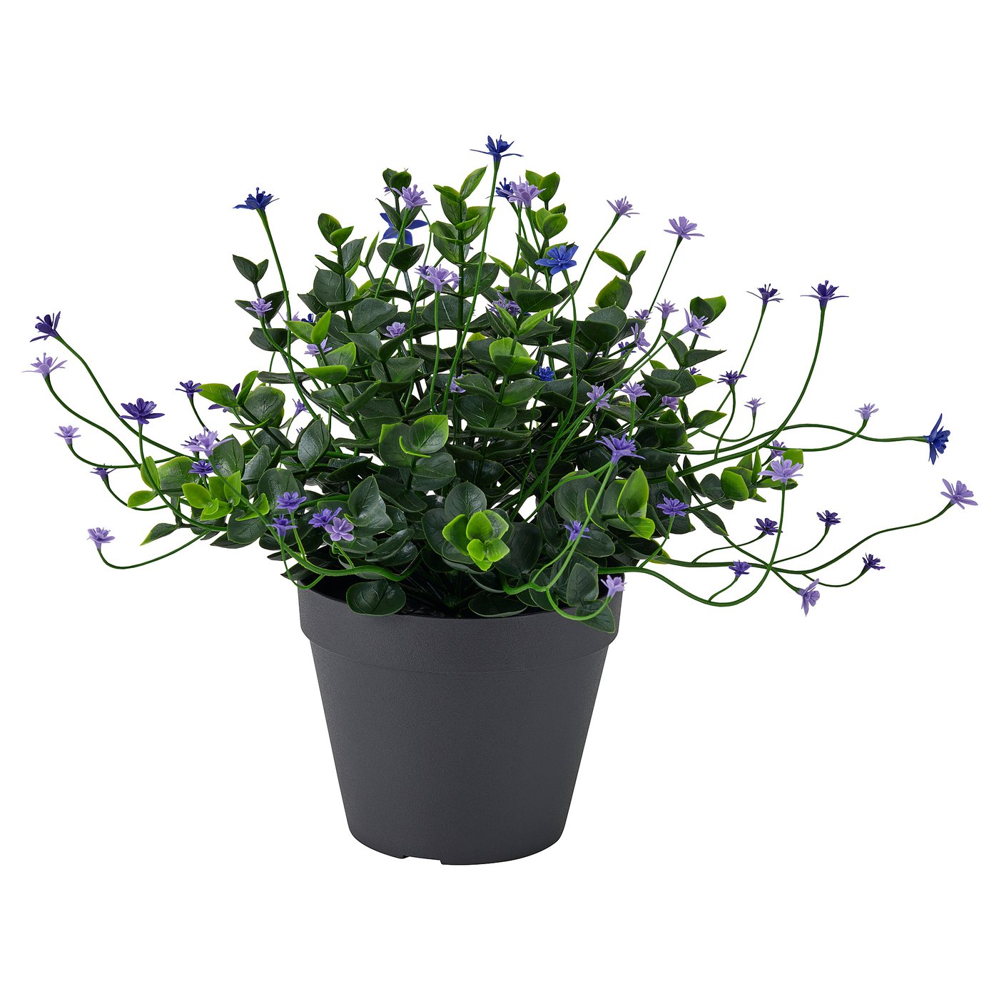 FEJKA artificial potted plant, in/outdoor/flowering lilac, 12 cm