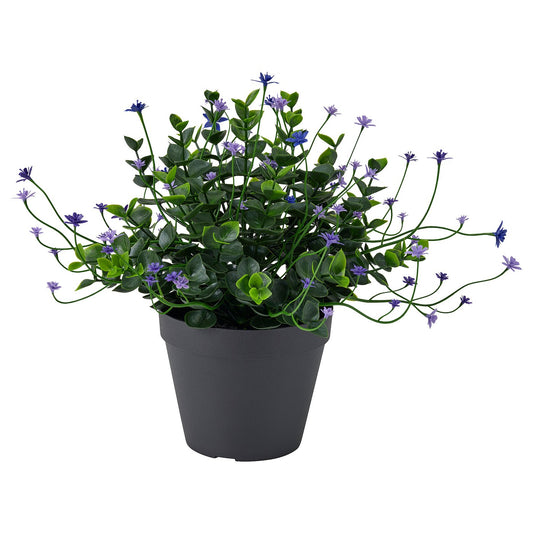 FEJKA artificial potted plant, in/outdoor/flowering lilac, 12 cm
