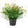 FEJKA artificial potted plant, in/outdoor yellow, 9 cm