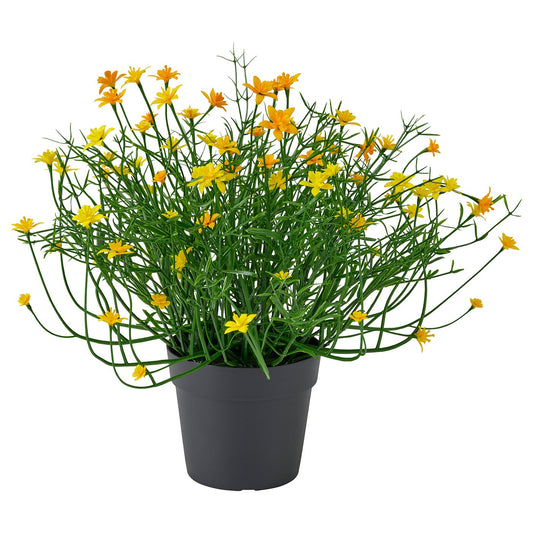 FEJKA artificial potted plant, in/outdoor yellow, 9 cm