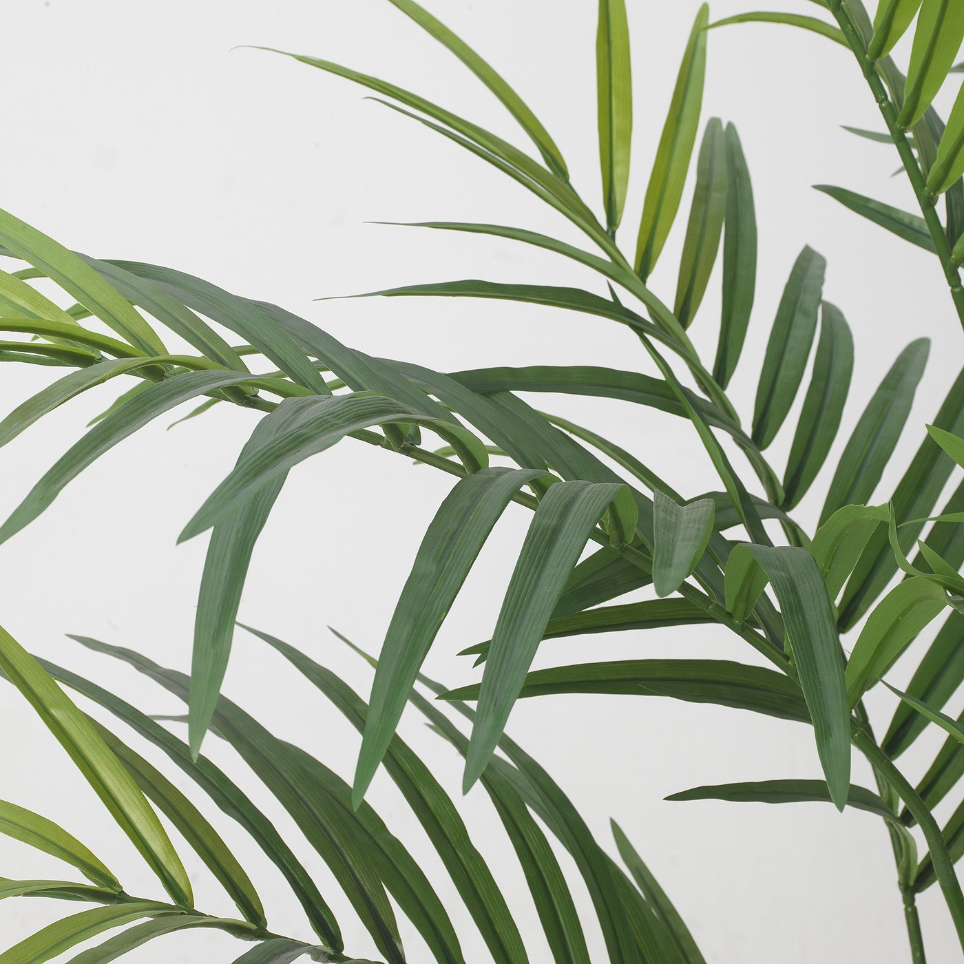 FEJKA artificial potted plant, in/outdoor/Kentia palm, 21 cm