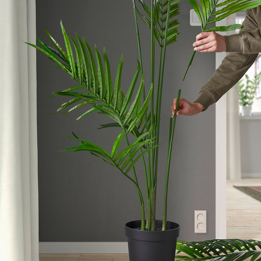 FEJKA artificial potted plant, in/outdoor/Kentia palm, 21 cm