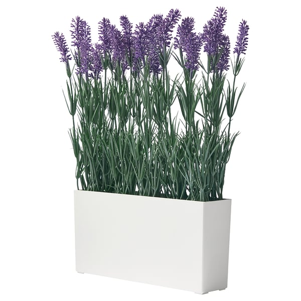FEJKA artificial potted plant with pot, in/outdoor Lavender, 35x42 cm