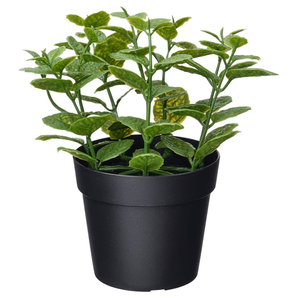 FEJKA - FEJKA Artificial potted plant, in/outdoor Mint, 9 cm