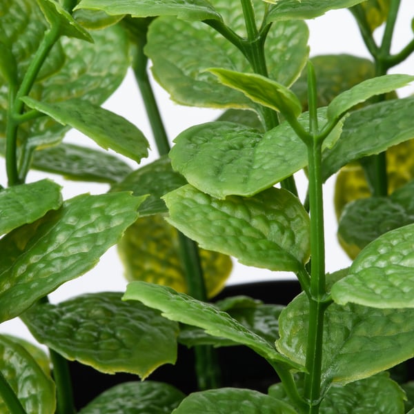 FEJKA artificial potted plant, in/outdoor Mint, 9 cm