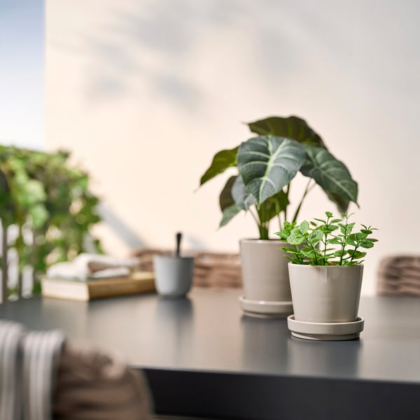 FEJKA artificial potted plant, in/outdoor Mint, 9 cm