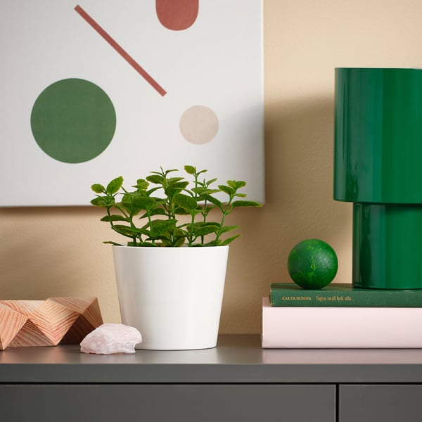 FEJKA artificial potted plant, in/outdoor Mint, 9 cm