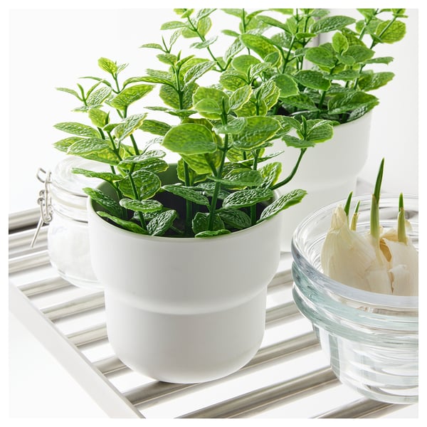 FEJKA artificial potted plant, in/outdoor Mint, 9 cm