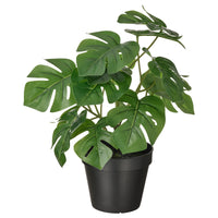 Artificial plants & flowers