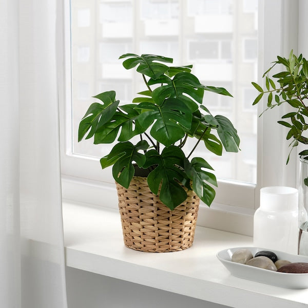 FEJKA - Artificial potted plant, in/outdoor Monstera, 12 cm