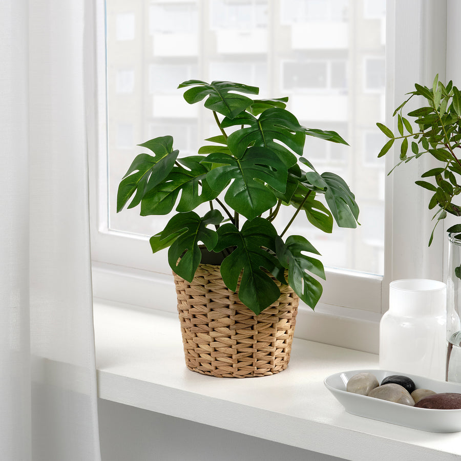 FEJKA artificial potted plant, in/outdoor Monstera, 12 cm