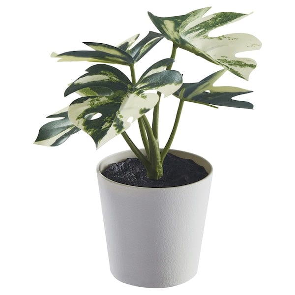 FEJKA - Artificial potted plant with pot, in/outdoor Monstera, 6 cm
