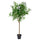 FEJKA artificial potted plant, in/outdoor/Nerium white, 19 cm