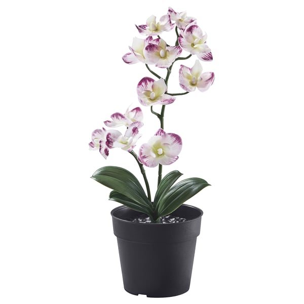 FEJKA - FEJKA Artificial potted plant, in/outdoor Orchid/light purple, 9 cm