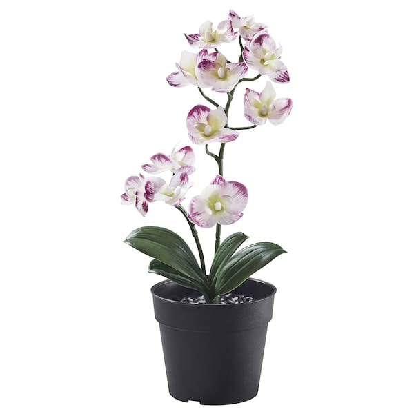 FEJKA - Artificial potted plant, in/outdoor Orchid/light purple, 9 cm