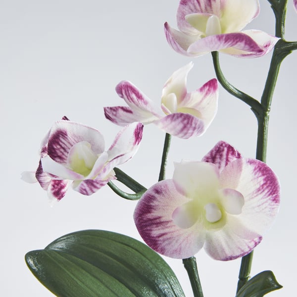FEJKA - FEJKA Artificial potted plant, in/outdoor Orchid/light purple, 9 cm