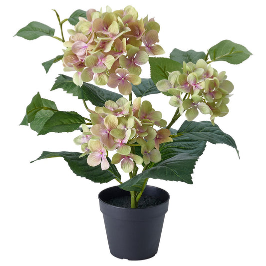 FEJKA artificial potted plant, in/outdoor/hydrangea white, 12 cm