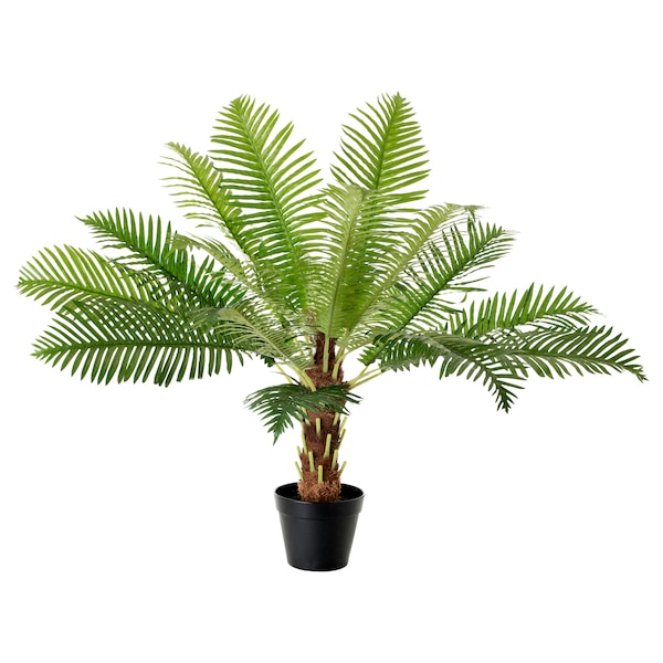 FEJKA - Artificial potted plant, in/outdoor Fern palm, 17 cm