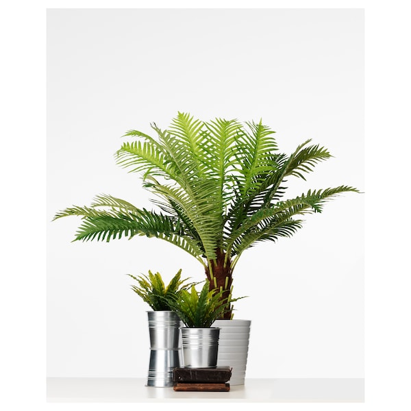 FEJKA - Artificial potted plant, in/outdoor Fern palm, 17 cm