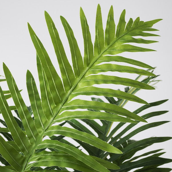 FEJKA - Artificial potted plant, in/outdoor Fern palm, 17 cm