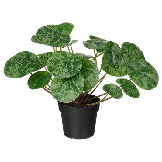 FEJKA - Artificial potted plant, for indoor/outdoor Pilea, 9 cm.