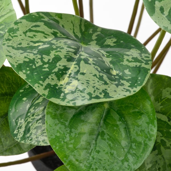 FEJKA - FEJKA Artificial potted plant, in/outdoor Pilea, 9 cm