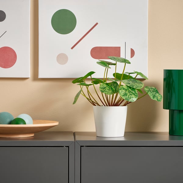 FEJKA artificial potted plant, in/outdoor Pilea, 9 cm