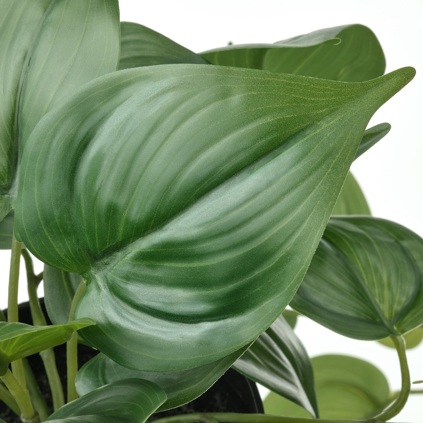 FEJKA artificial potted plant, in/outdoor Golden Pothos/hanging, 12 cm