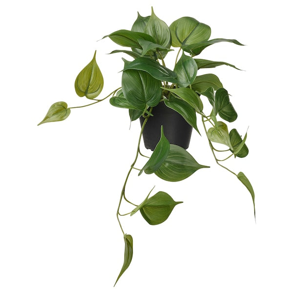 FEJKA - Artificial potted plant, in/outdoor Golden Pothos/hanging, 12 cm