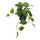 FEJKA artificial potted plant, in/outdoor Golden Pothos/hanging, 12 cm
