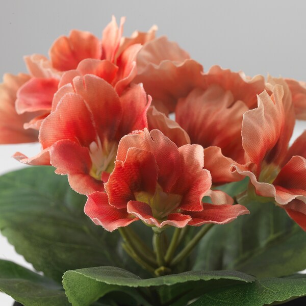 FEJKA - Artificial plant with pot, indoor/outdoor/primrose orange, 9 cm