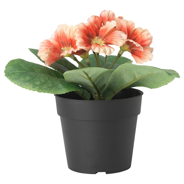 FEJKA - Artificial plant with pot, indoor/outdoor/primrose orange, 9 cm