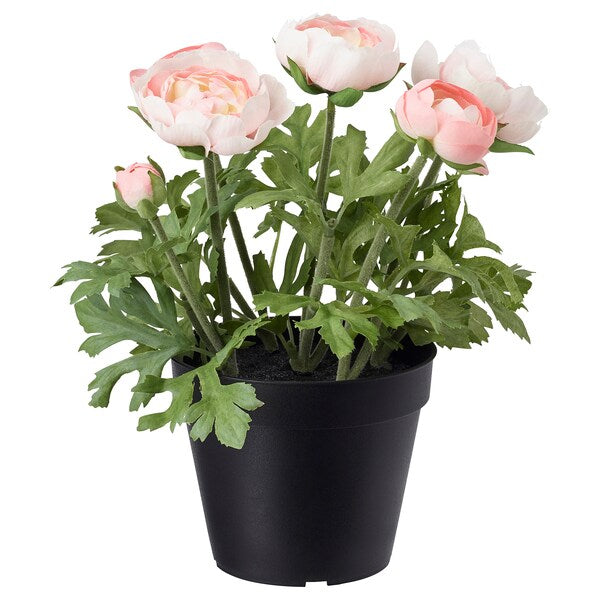 FEJKA - Artificial potted plant, in/outdoor/Ranunculus pink, 12 cm