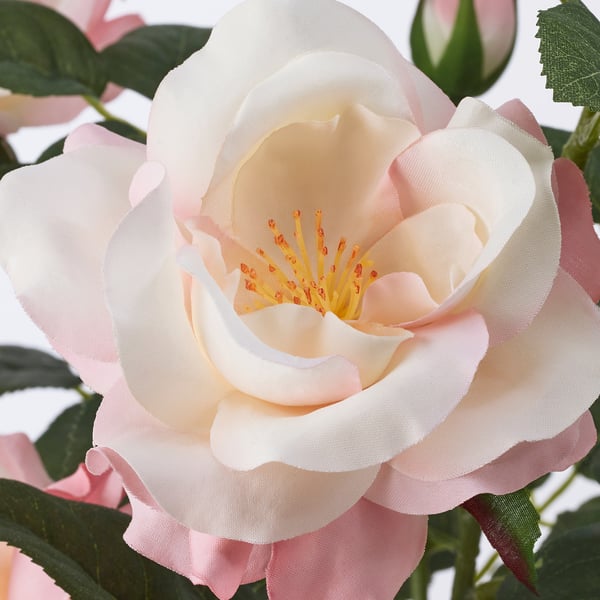 FEJKA artificial potted plant, in/outdoor/Rose pink, 12 cm