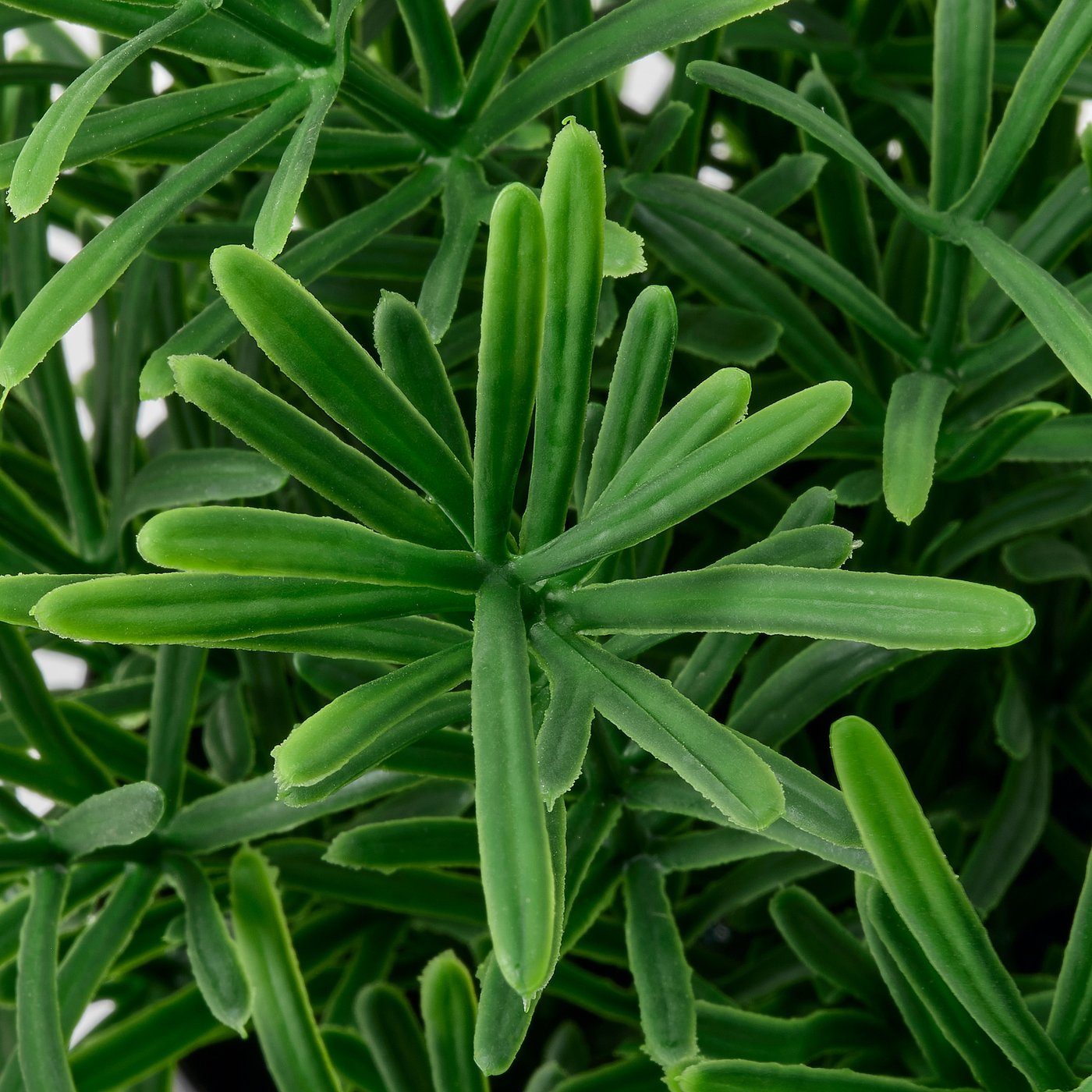 FEJKA artificial potted plant, in/outdoor/Rosemary, 9 cm